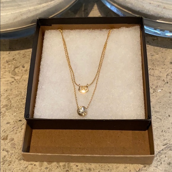 Banana Republic Almost Invisible Layering Necklace - Picture 8 of 13